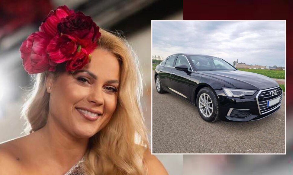 Nijolė Pareigytė-Rukaitienė, parduodamas automobilis