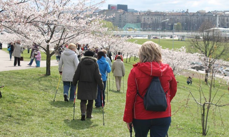 Šiaurietiško žygio akimirka, organizatorių nuotrauka