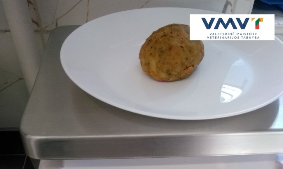 VMVT patikrinimas Šiaulių gimnazijoje