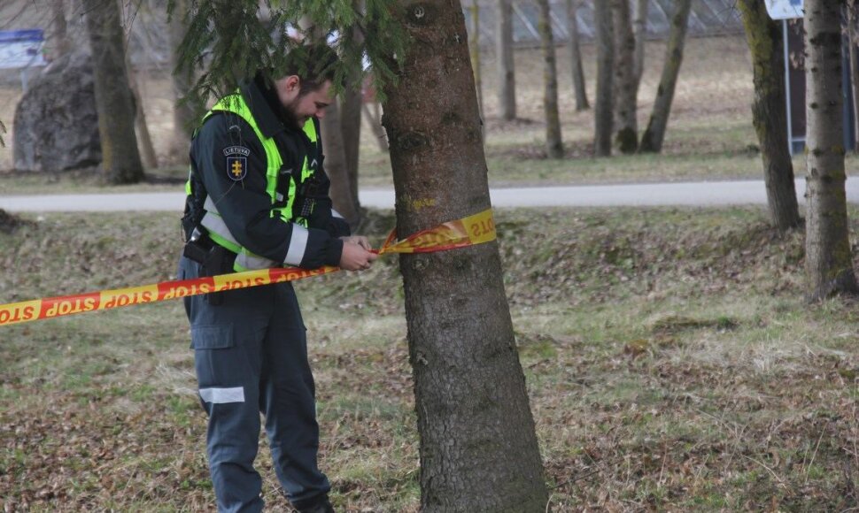Įvykio vietoje
