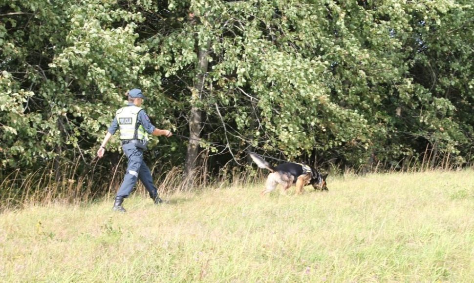 Asociatyvi iliustracija: paieška