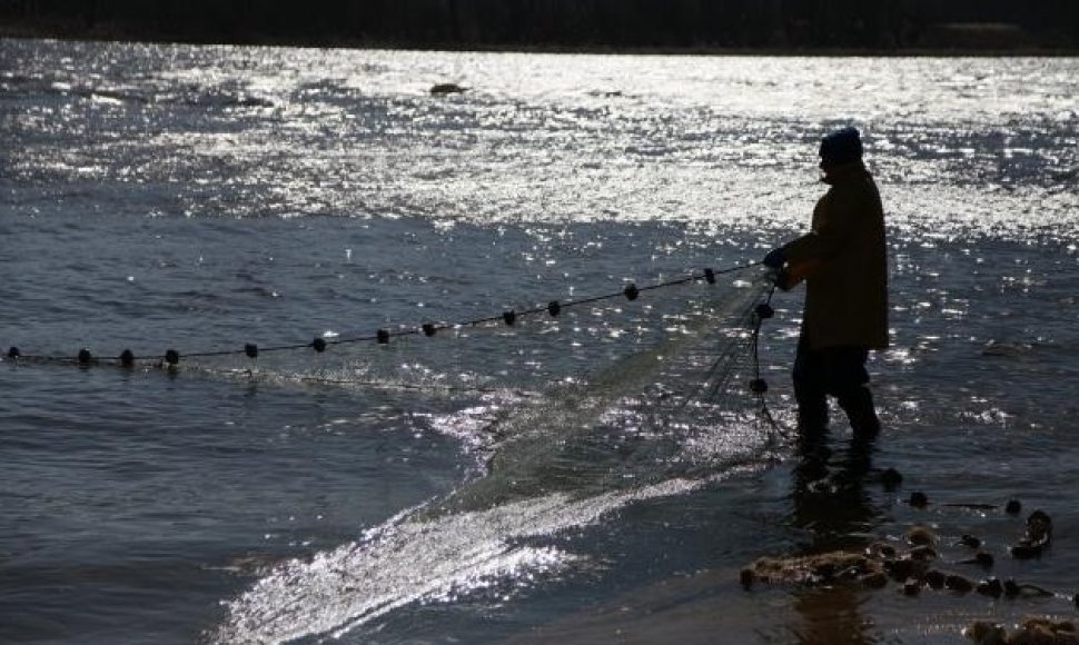 Rusnėje prasidėjusi stintų žvejyba žūklautojų nedžiugina. 