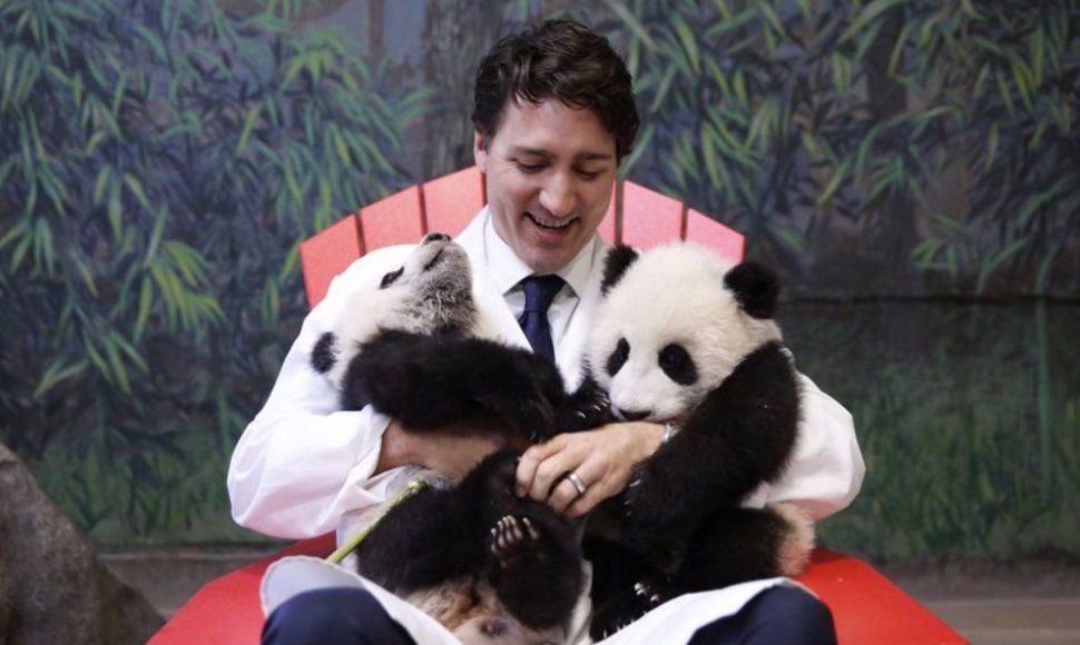 Kanados ministras pirmininkas Justinas Trudeau su pandų jaunikliais