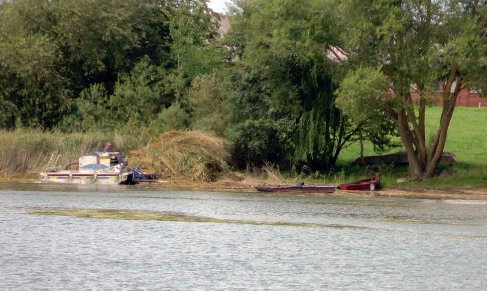 Giluičio pakrantė