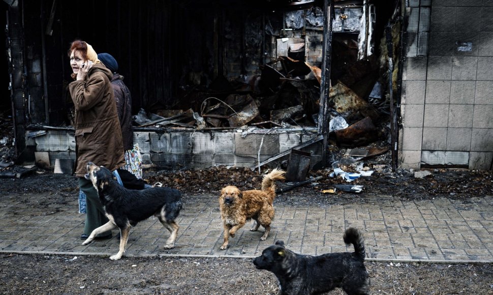 Šunys separatistų kontroliuojamame Donecke