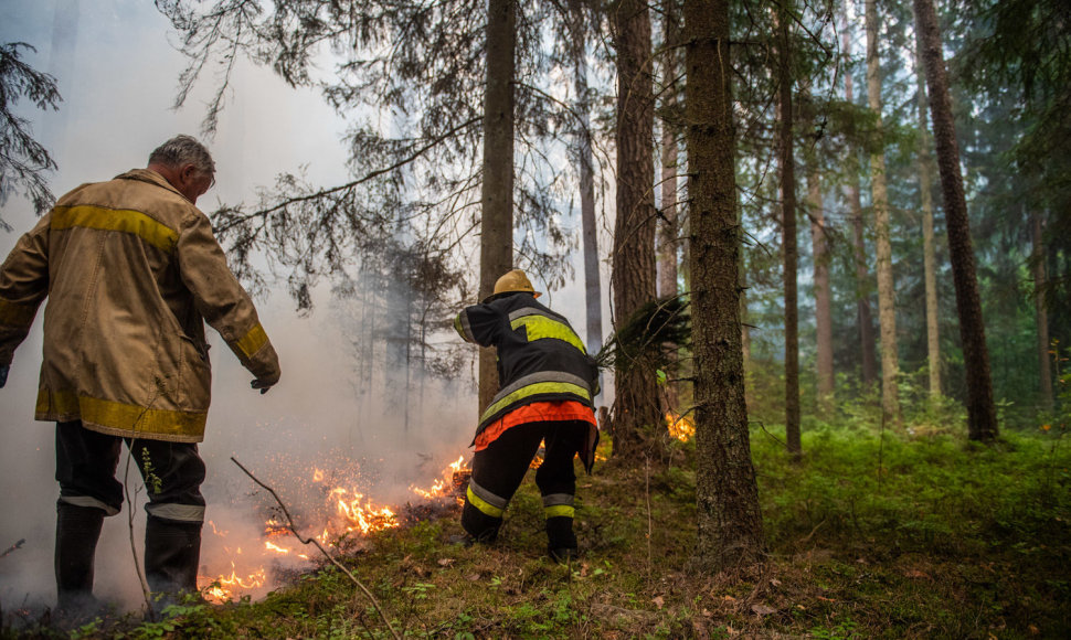 Vakarų Latvijoje antra diena gesinamas didelis miško ir durpyno gaisras