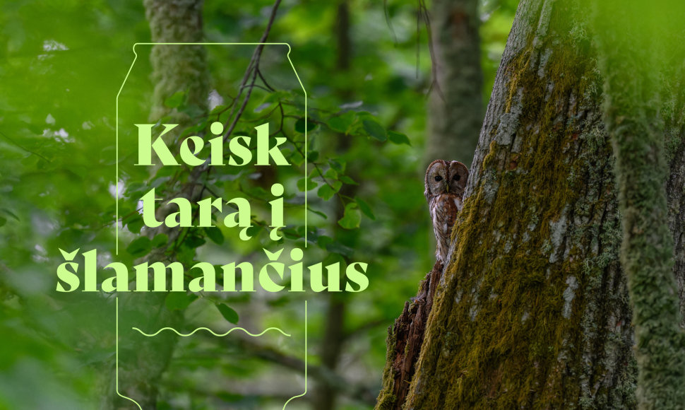 Šlamantys iliustracija