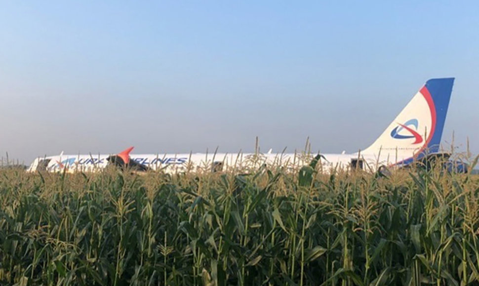 Rusijos oro bendrovės „Uralskie avialinii“ laineris „Airbus А-321“ be važiuoklės sėkmingai nusileido kukurūzų lauke.