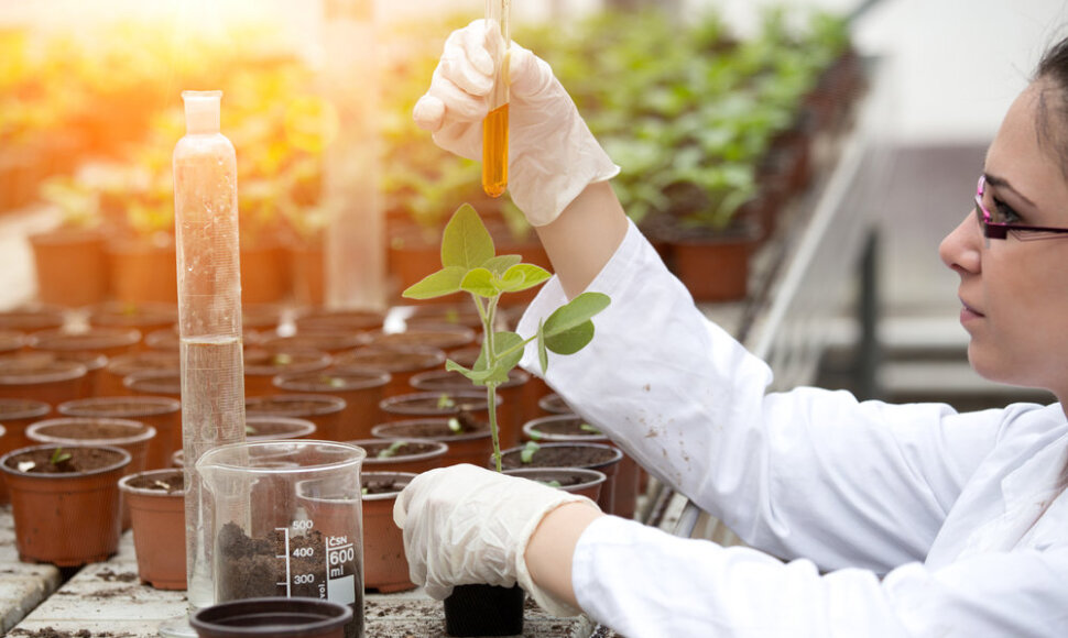 Biotechnologijos žemės ūkyje