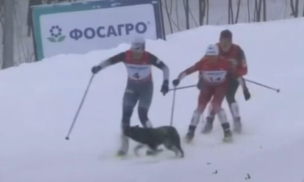 Šuo įbėgo į slidinėjimo varžybų Rusijoje trasą, o dvi sportininkės krito.