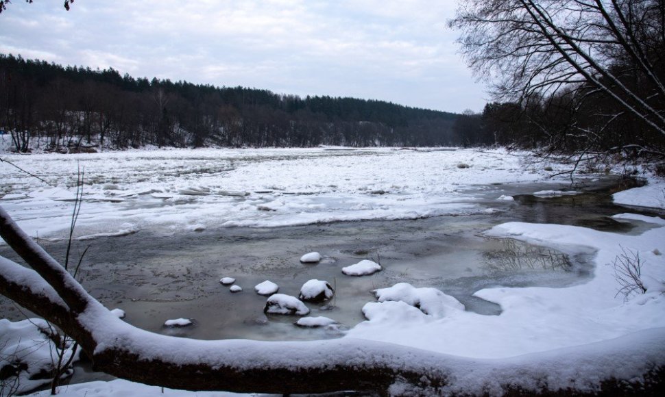 Saidės pažintinis takas