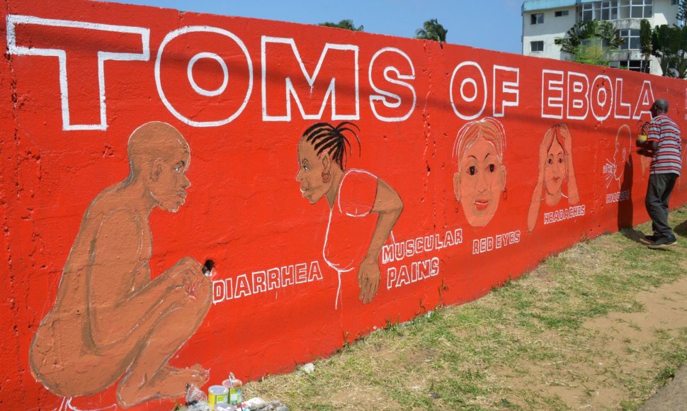 Liberijos menininkas Stephenas Doe ant sienos nupiešė Ebolos viruso simptomus.