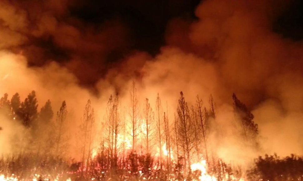 Josemito nacionalinį parką niokoja ugnis