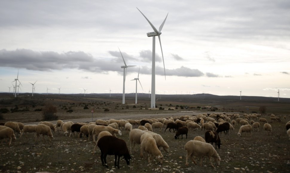 Vėjo turbinos Ispanijoje