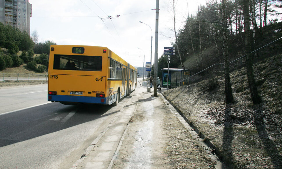 Viešasis transportas