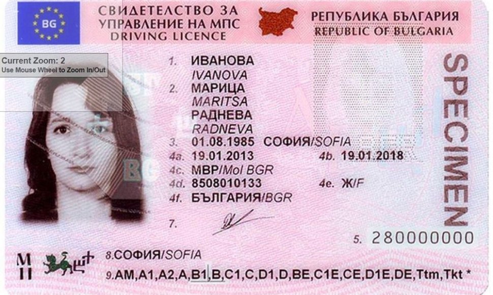 Bulgariško vairuotojas pažymėjimo pavyzdys