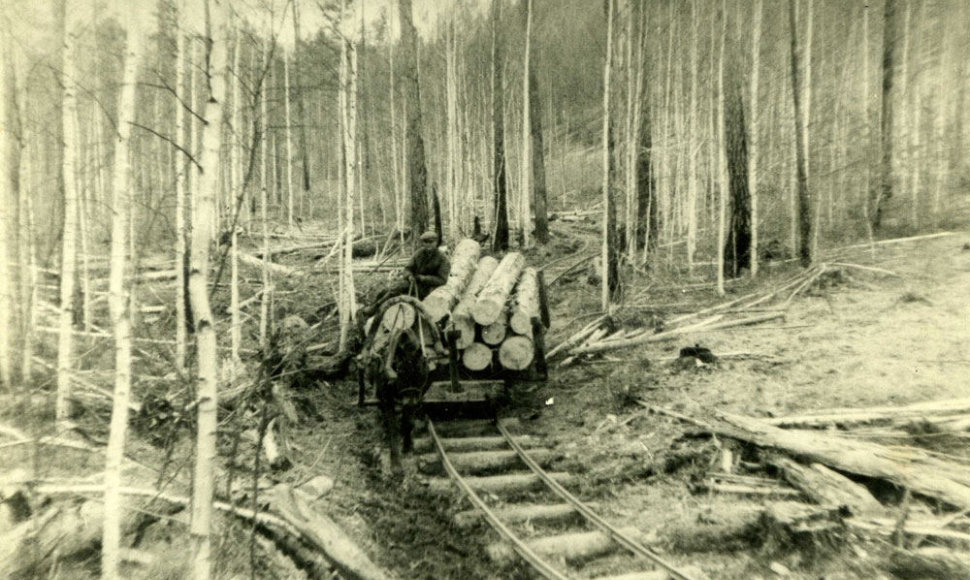 Lietuviai tremtyje. Su arkliuku bėgiais veža mišką. Novostrojka, Zaigrajevo r., Buriat-Mongoljos ASSR (d. Buriatijos respublika), apie 1955-1956 m.