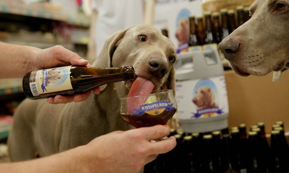 Nyderlanduose alus gaminamas ir šunims