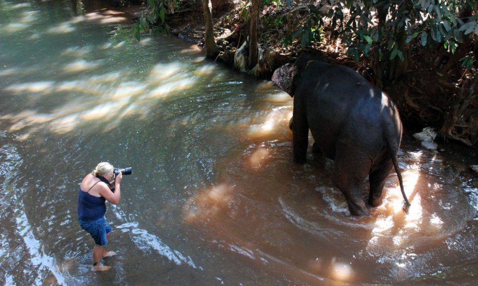 Kai kurie turistai užsisako asmeninę dramblio maudynių fotosesiją