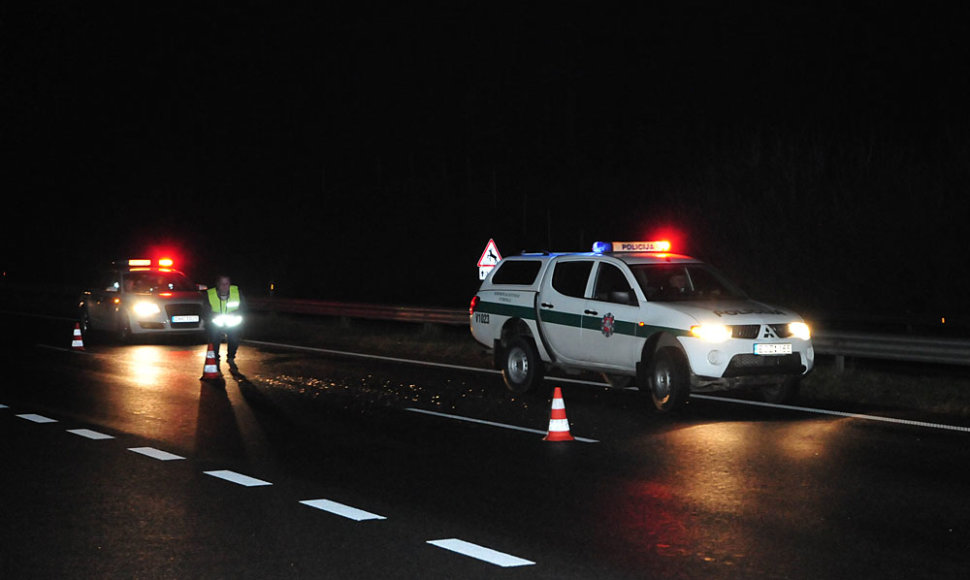 Avarijos vietoje Trakų rajone