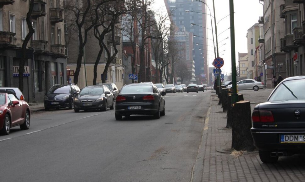 Klaipėdoje iškertamos senosios liepos centrinėje Liepų gatvėje.