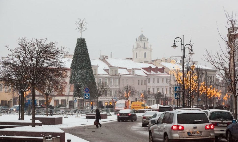 Statoma Kalėdų eglė Vilniaus Rotušės aikštėje