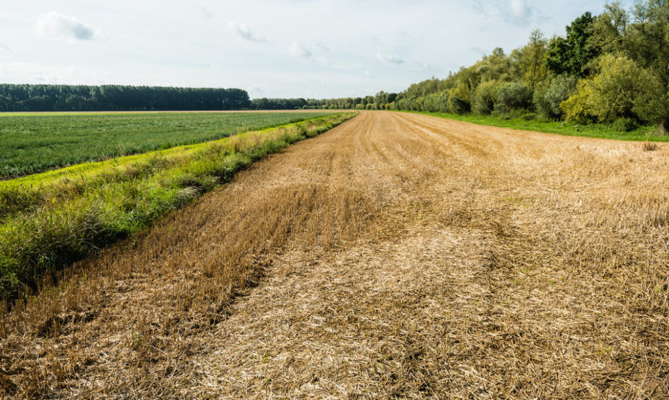 Pradėjo veikti nauja žalinimo reikalavimų skaičiuoklė