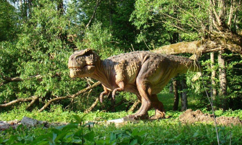 Klaipėdos rajone bus atidarytas dinozaurų parkas. 