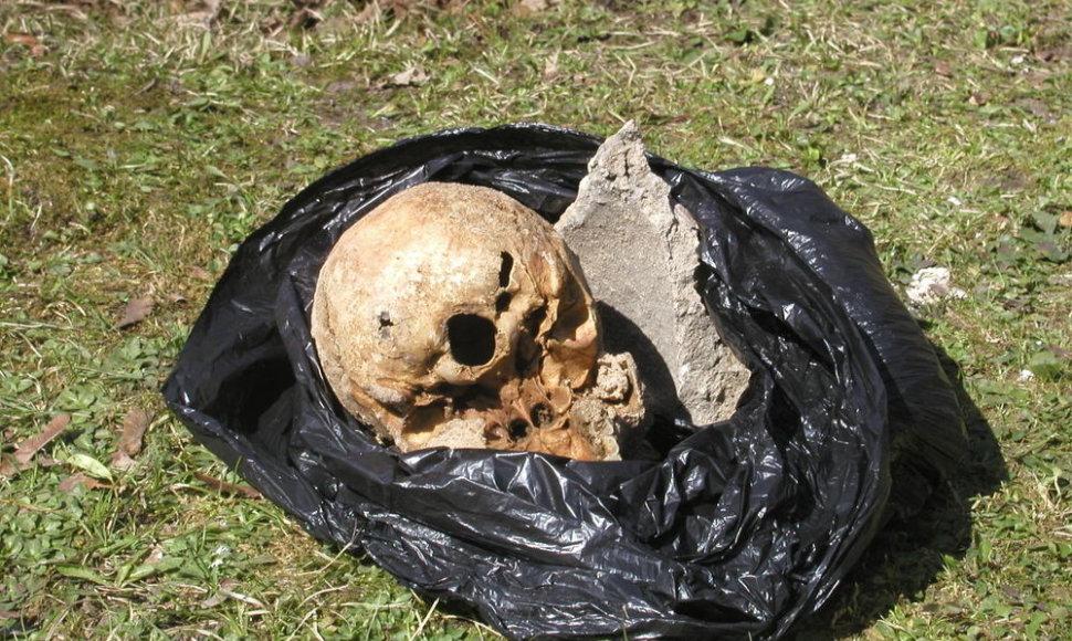 Kaukolė buvo įmūryta tarp tvoros akmenų