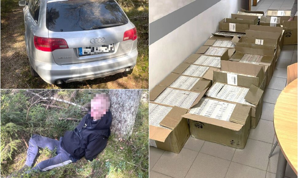 Bylos įkalčiai