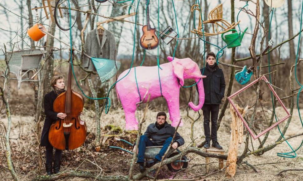 Grupė „The Pink Elephant“