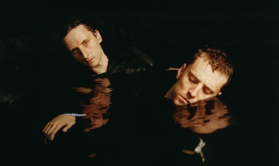 „These New Puritans“