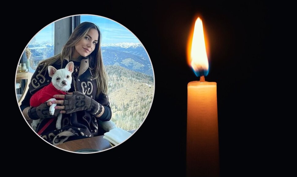 Pamela Genini, žvakė