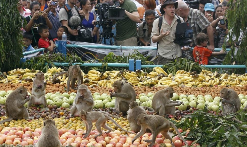 Beždžionių šventė Tailande