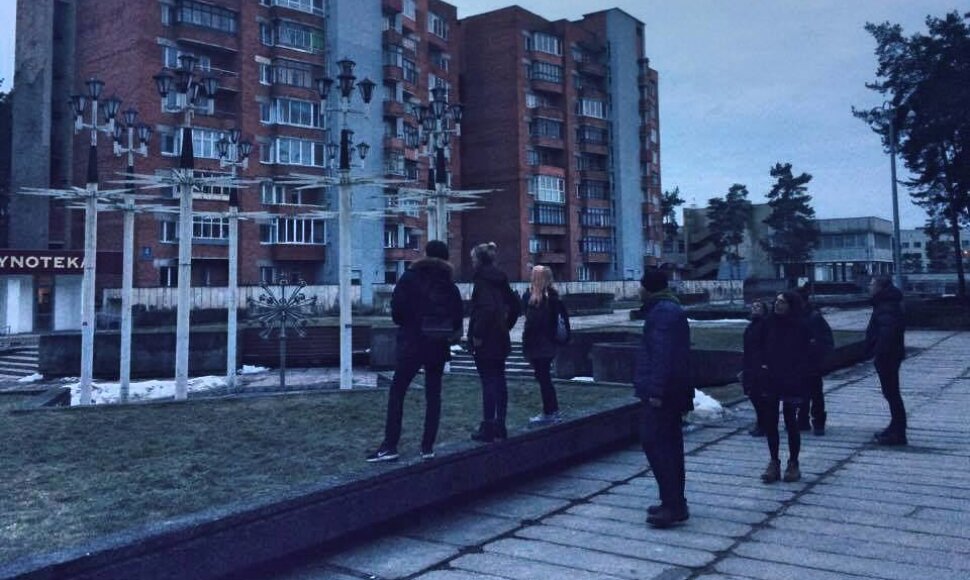Spektaklio &bdquo;Žalia pievelė&ldquo; dalyviai Visagine