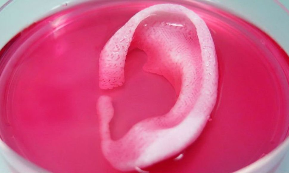 3D spausdintuvu pagaminta ausis