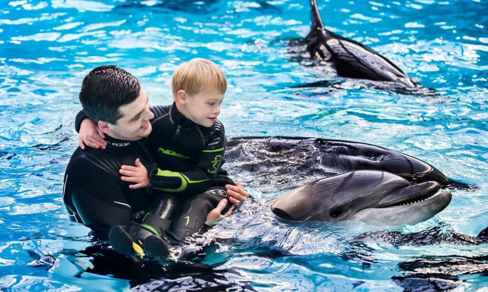 Delfinų terapija sergantiems vaikams – itin veiksminga