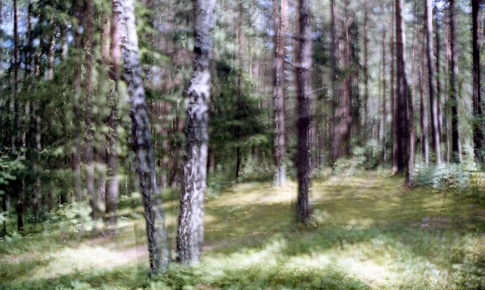 Juliaus Kur&scaron;io fotografija &bdquo;Skraistė&ldquo;.