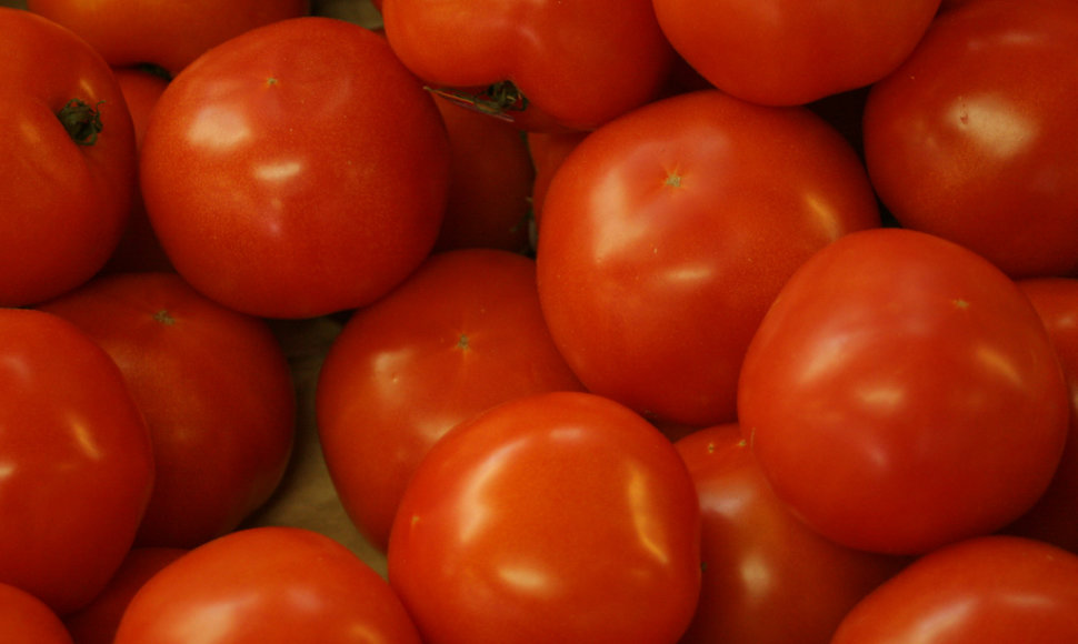 Pomidorai kasdien