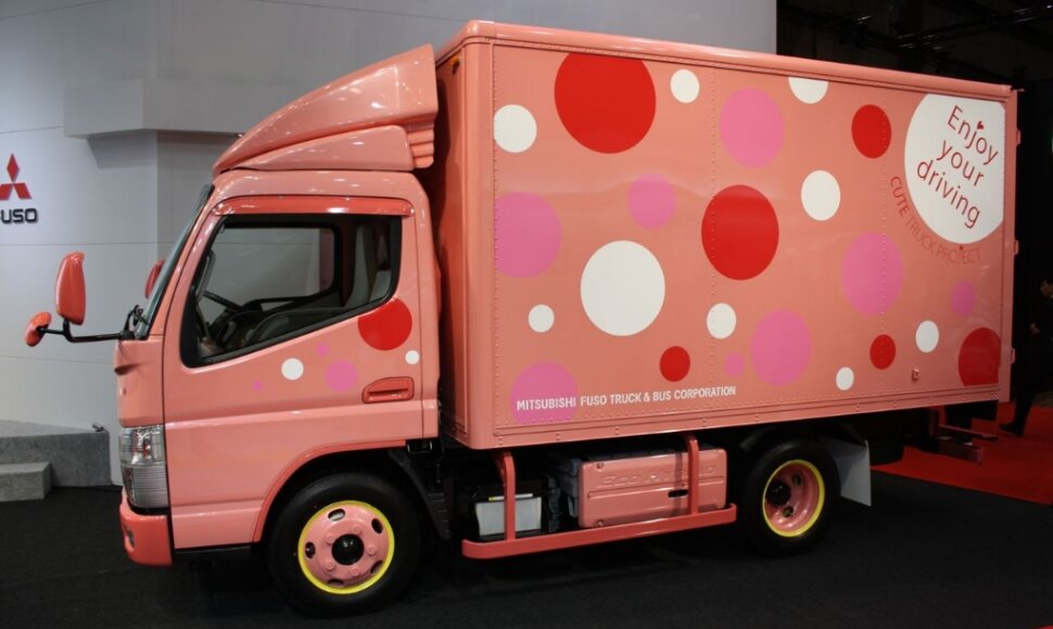 &bdquo;Fuso Canter Eco Hybrid Canna&ldquo; sunkvežimis moterims