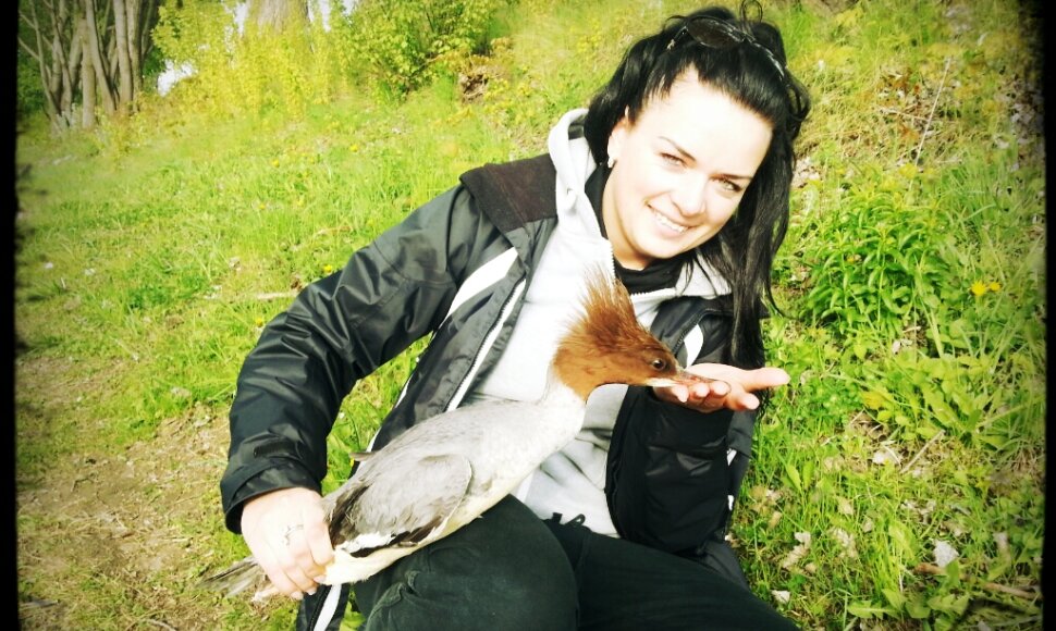 Paukščių žieduotoja