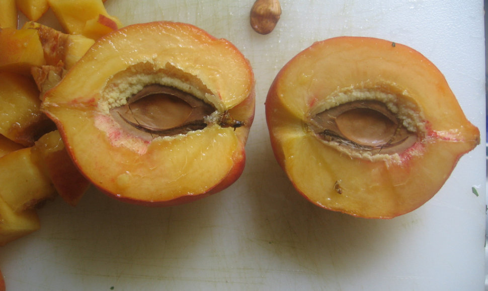 Kaukė iš persikų