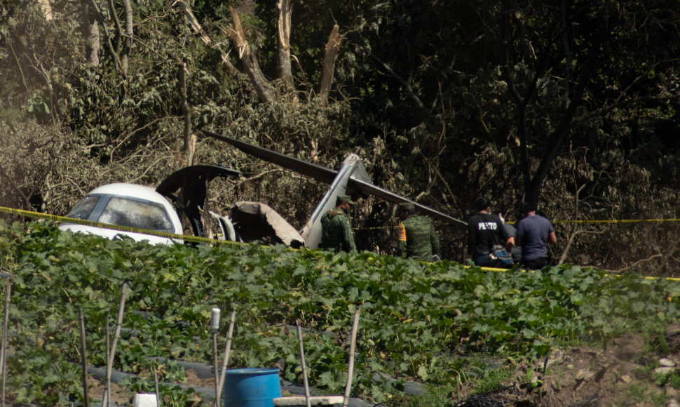 Meksikoje sudužus karinių oro pajėgų lėktuvui žuvo šeši kariškiai