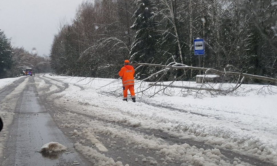 Gamtos išdaigos Šiaulių apskrityje