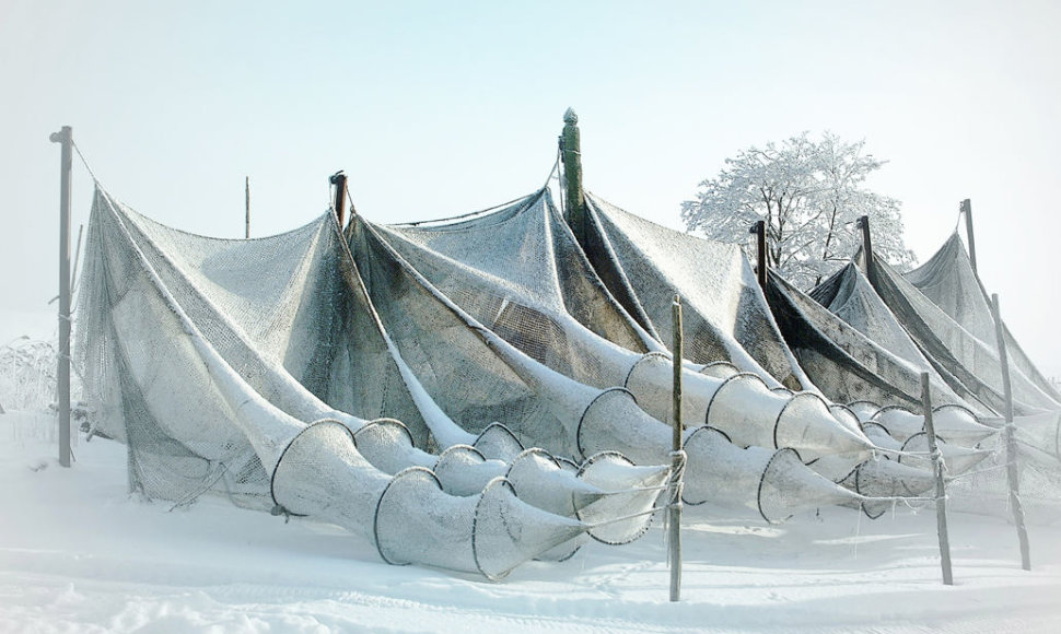 Gintauto Survilos fotografija „Žuvų atostogos“. 2003 m.