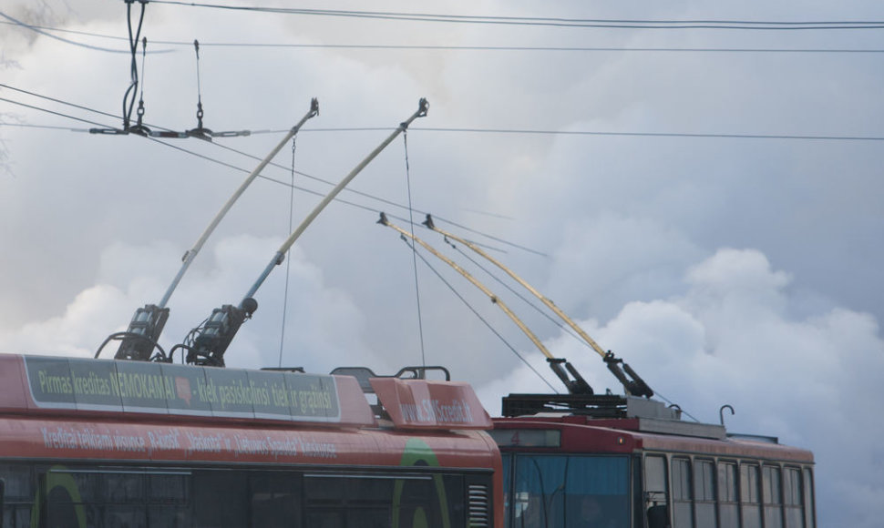 Viešasis transportas