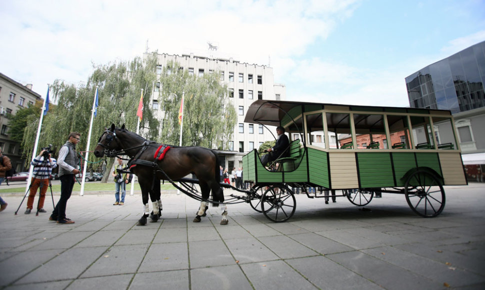 Arkliai Laisvės alėjoje