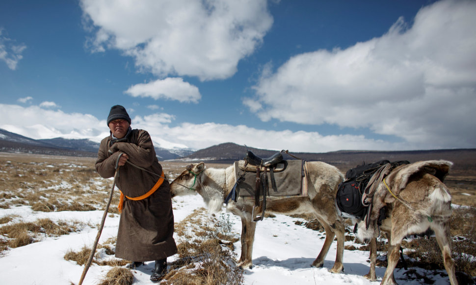 Elnių piemenys Mongolijoje