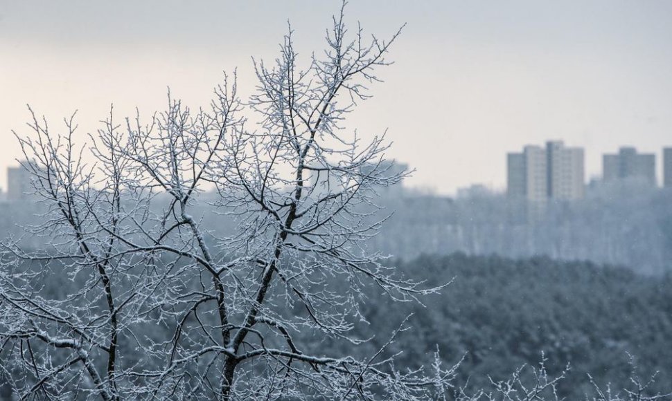 Žiema Vilniuje