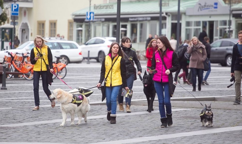 Tarptautinės gyvūnų dienos minėjimas Vilniuje